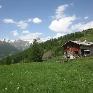 Chalet D'alpage Le Lauzeron, Aiguilles